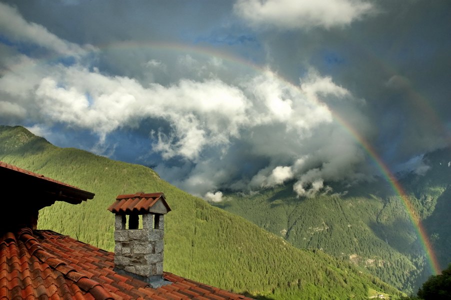 Gruppo di persone in natura